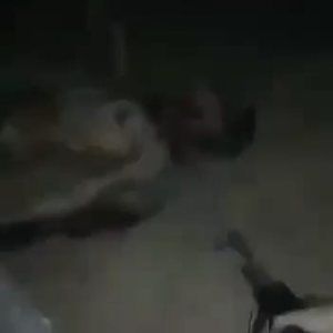 Meet your Posher, Choppa